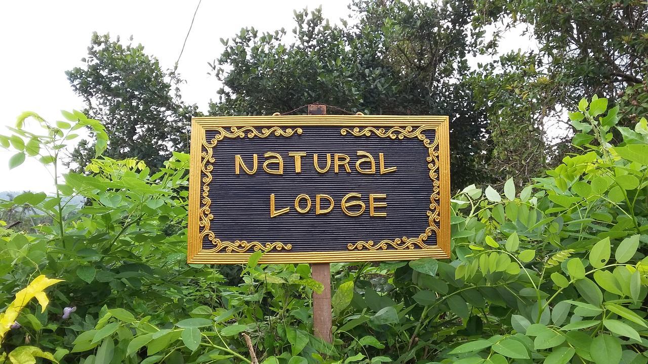 Natural Lodge 2 Selemadeg  Екстериор снимка